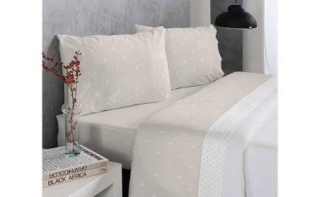 Conjunto completo de folhas modelo TERRA da Reig Marti